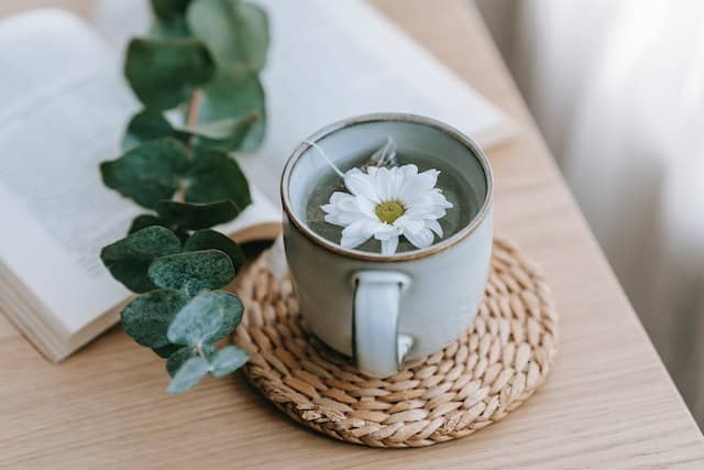 베이톤의 책상위에 컵 안에 하얀 국화 꽃 한송이가 보이는 차 한잔