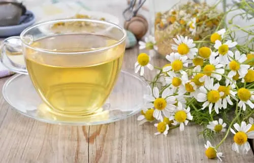 흰꽃잎과 노란 봉우리들이 함께 있는 캐모마일꽃과 차 한잔