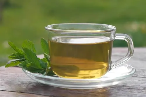 푸르른 자연을 배경으로 나무식탁위에 투명한 찻잔에 레몬밤차 한잔