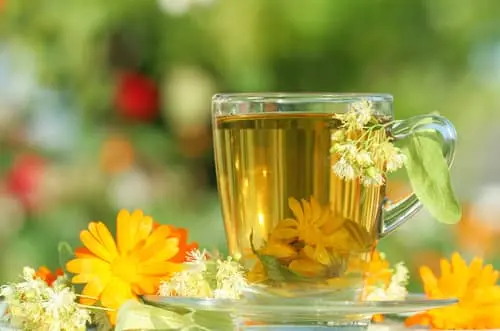 노란색 꽃잎들과 함께 있는 차 한잔과 숲 배경